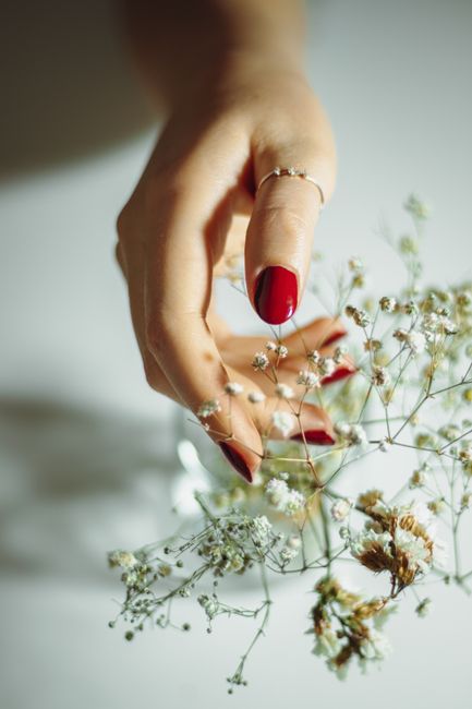 A close-up shot of a woman's hand with a red manicure gently holding delicate white flowers.