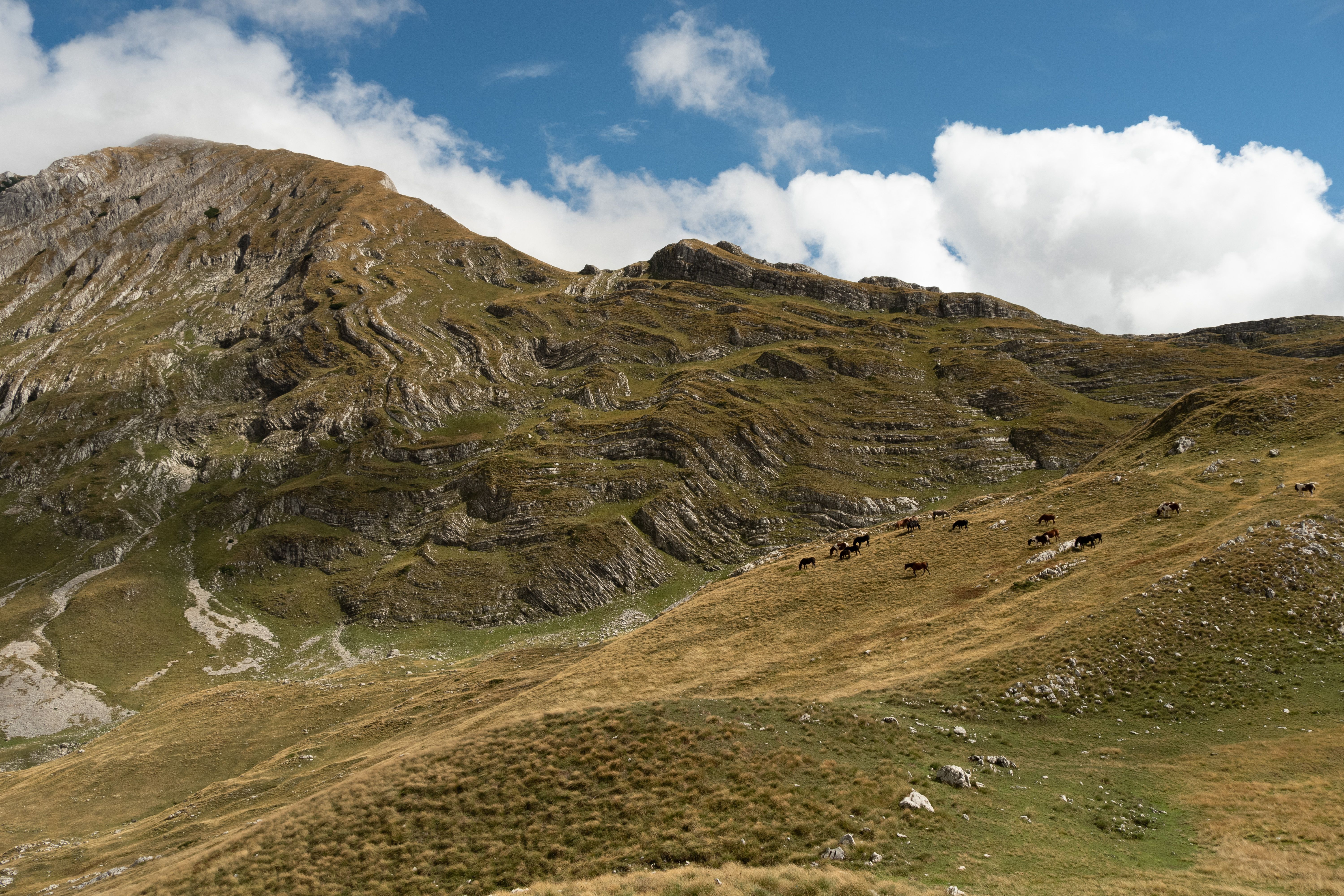 Green Mountain Under the Blue Sky and White Clouds · Free Stock Photo