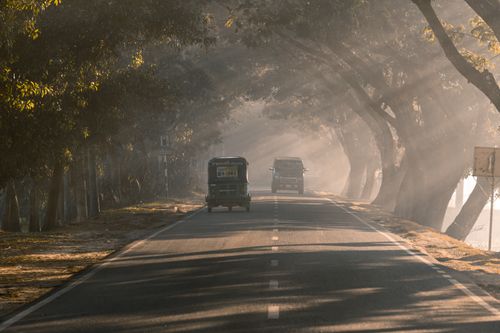 Free Tranquil road scene with vehicles under fog-filtered sunrays, evoking peaceful travel vibes. Stock Photo