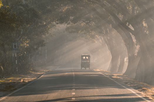 Serene rural scene with auto rickshaw under sunbeams at sunset.