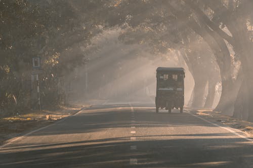 Foto profissional grátis de árvore, árvores verdes, caminhão