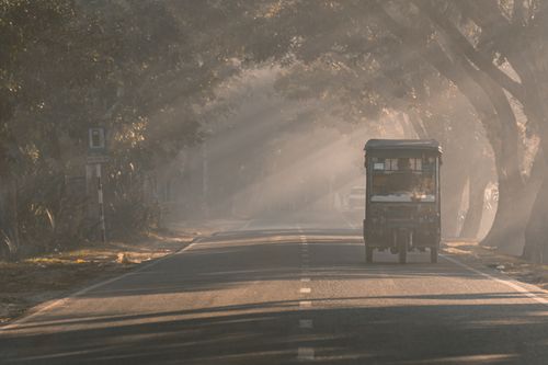 Free A tuk tuk travels down a forest road during a misty morning with sunlight streaming through the trees. Stock Photo