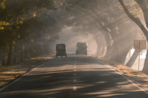 Free A serene rural roadway with vehicles under sunbeams and tree canopy at sunset. Stock Photo