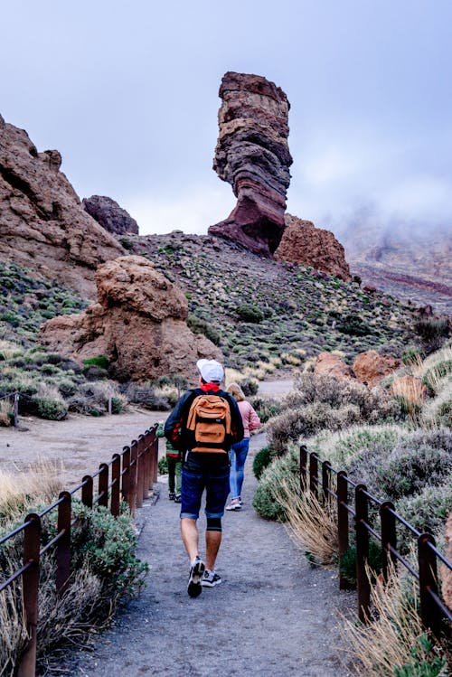 Back View of Hikers Walking in a Canyon