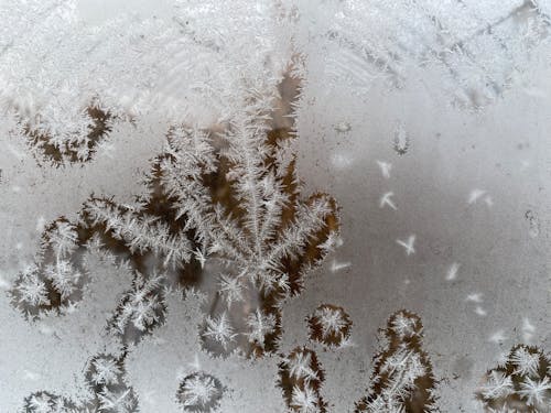 Snowflakes on Glass Window