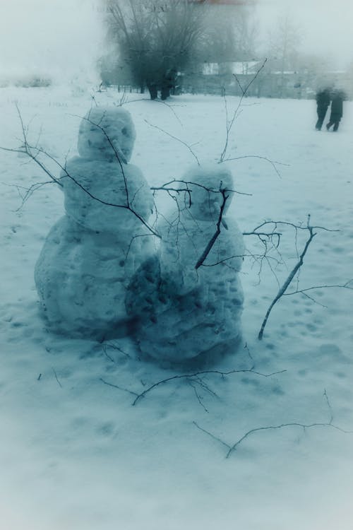 Foto profissional grátis de azul, boneco de neve, dois boneco de neve