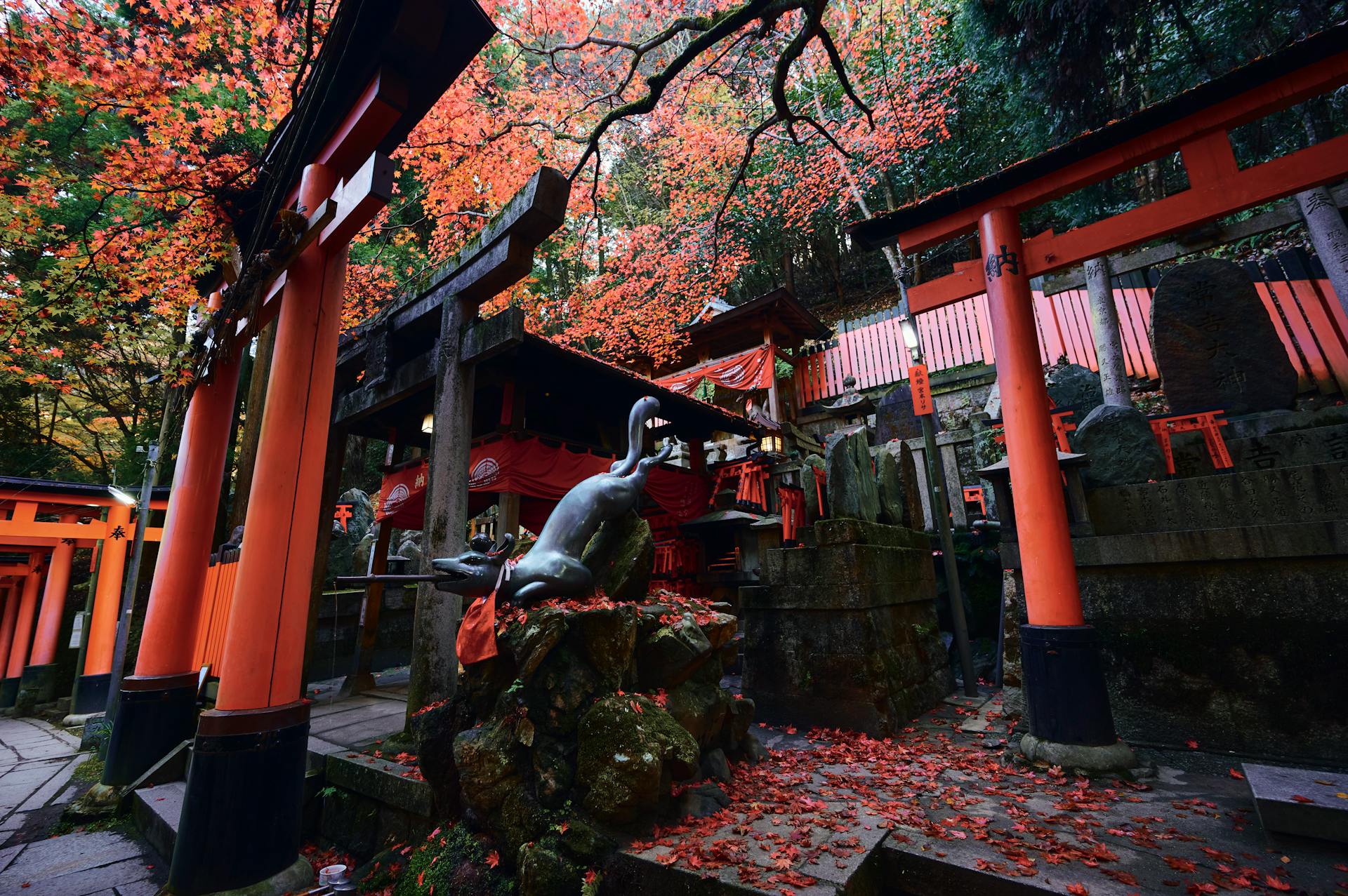 Explore the vibrant Fushimi Inari Shrine in Kyoto, clad in autumn colors and iconic red torii gates.