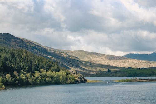 Gratis stockfoto met bergen, Bos, dal