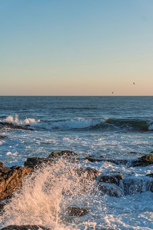 Free Experience the stunning waves crashing on the rocky shores of Punta del Este at dawn. Stock Photo