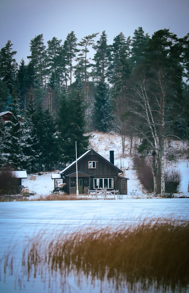 Wooden House Near Green Trees