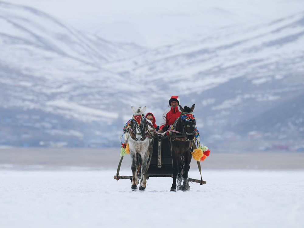 Sledge Riging People Wearing Traditional Clothing Riding on a Sledge with Pompoms in ...