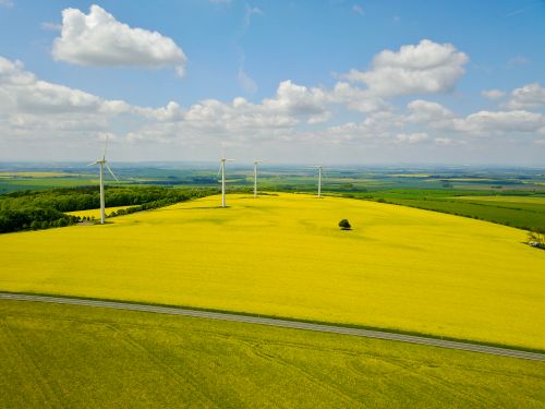 Free Drone shot of wind turbines over a bright yellow field at Am Ettersberg, Germany. Stock Photo