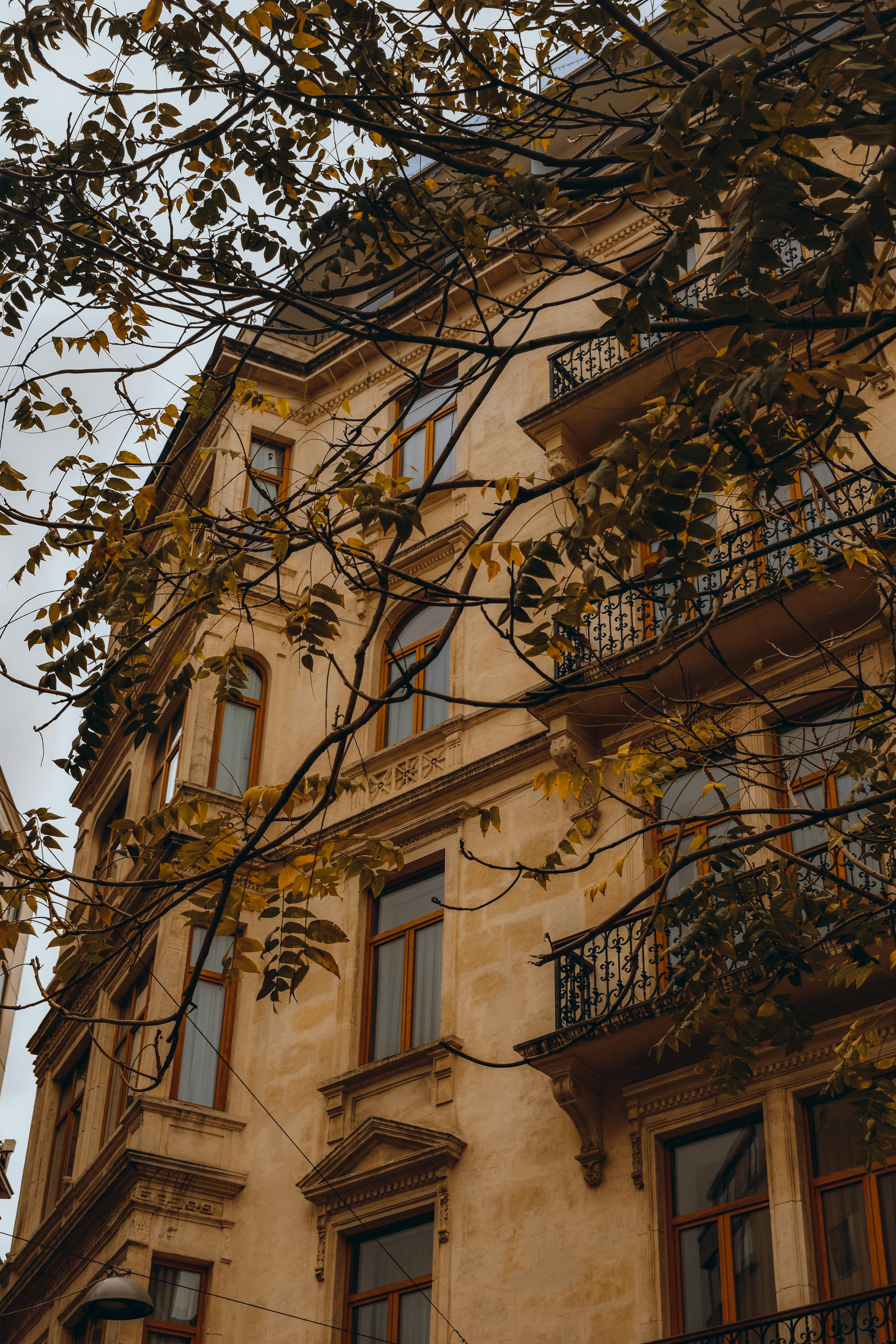 A classic urban building during autumn in Istanbul, enveloped by leaves.