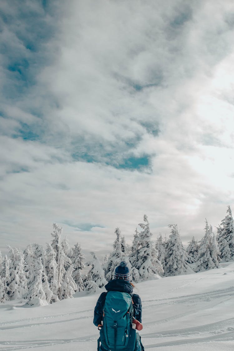 Woman Backpacker Looking At Winter Landscape