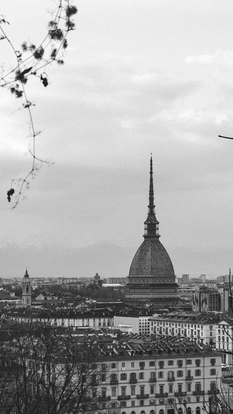 City Buildings Roofs On Sky Background