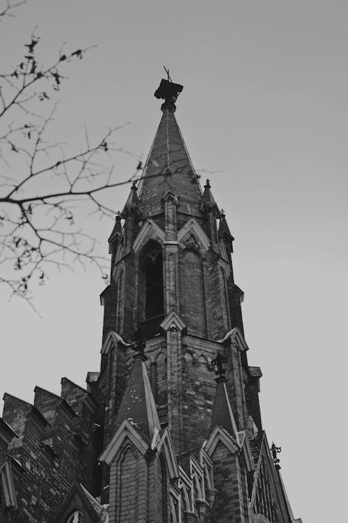Foto d'estoc gratuïta de arquitectura, blanc i negre, catedral