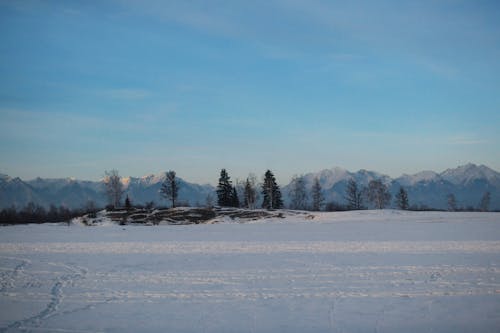 免费 冬季, 大雪覆盖, 天性 的 免费素材图片 素材图片