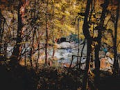 美丽的森林场景与印度安吉尔宁静的瀑布共同映衬出秋天的色彩