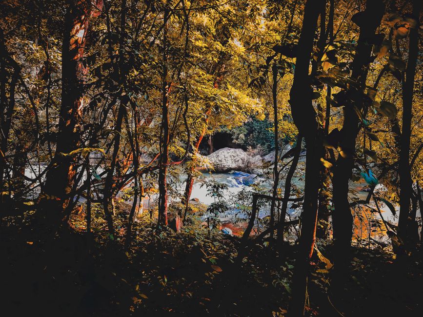 Beautiful forest scene reflecting autumn colors with a serene waterfall in Angul, India.