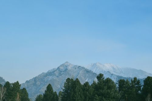 Free Breathtaking view of snowcapped mountains surrounded by lush pine trees under a clear blue sky. Stock Photo