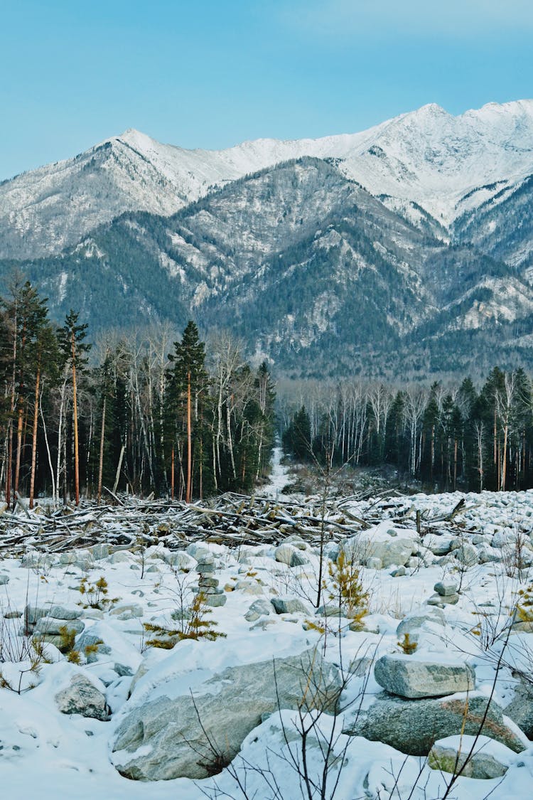 Snow On Rocks In Woods