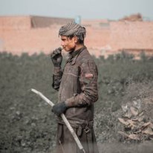 Free he is a hard worker Stock Photo