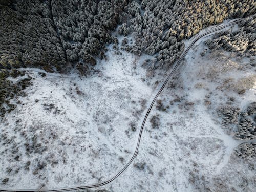 Kostenloses Stock Foto zu bäume, boden, drohne erschossen