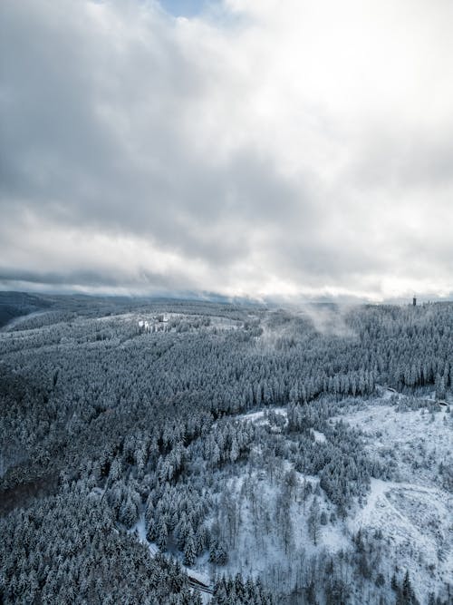 Aerial View of a Forest in Winter under a Cloudy Sky 