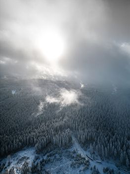 Aerial view of a frosty forest under winter sun in Germany.
