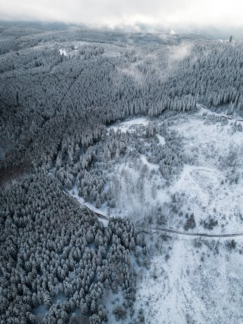 Birds Eye View of a Snow Covered Forest