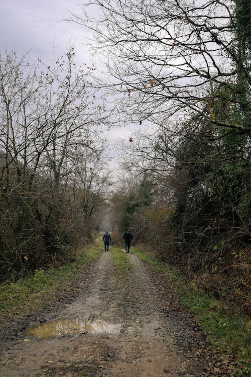 People on Road in Countryside