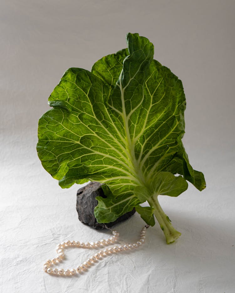 Pearl Necklace On Display