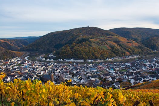 Aerial view of a hillside town surrounded by vibrant autumn foliage and rolling hills.