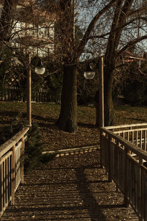 Dried Leaves on the Bridge