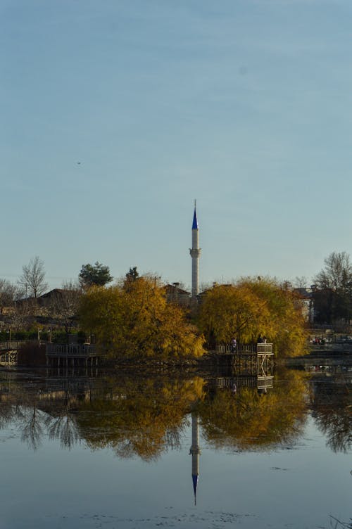 Gratis stockfoto met atmosfera de outono, blauwe lucht, groene bomen