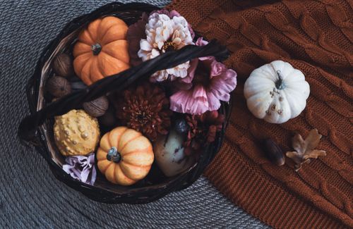 Free A cozy autumn basket filled with pumpkins, gourds, and flowers, perfect for fall decor. Stock Photo