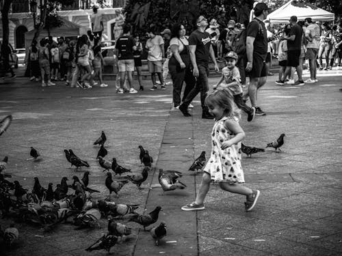 A Girl Playing with Pigeons