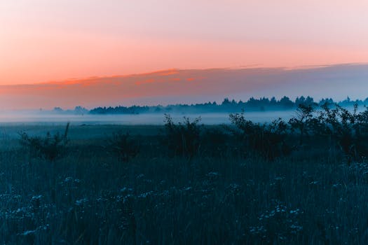 雾蒙蒙的草原一片宁静，黎明天空五彩缤纷，捕捉着大自然的静谧