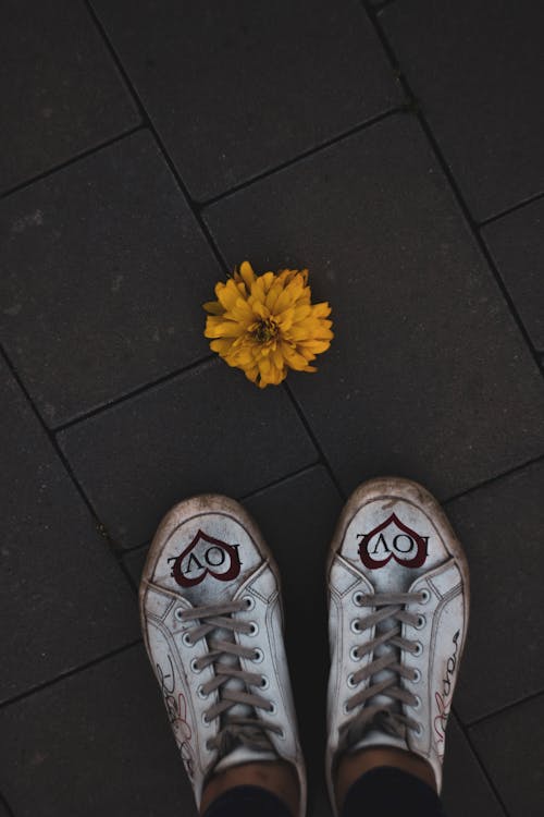 A Person Wearing White Sneakers Standing on a Concrete Ground Near Yellow Flower