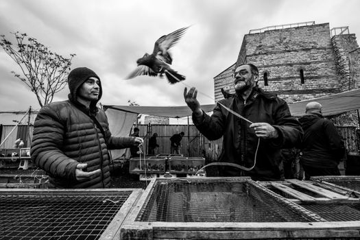Two men are feeding pigeons in a market