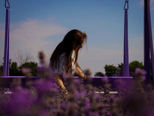 Kostenloses Stock Foto zu blumen, chillen, erinnerungen