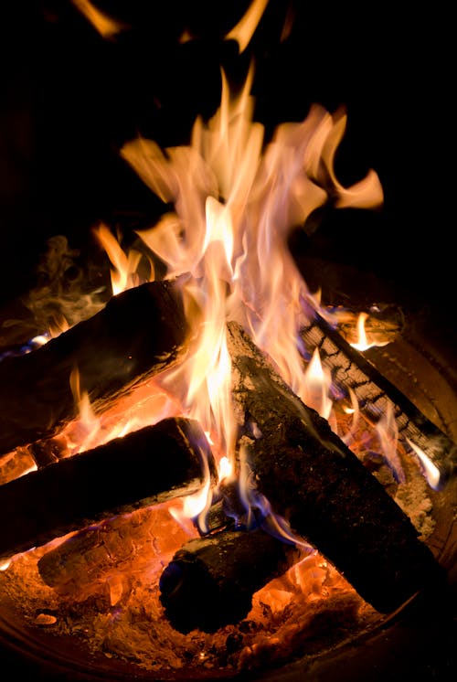 Lit Campfire at Night