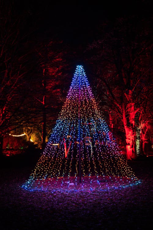 Free stock photo of christmas, christmas tree, lights