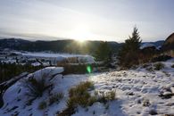 冬日清晨，雪山风景中点缀着树木和霜草，日出格外美丽