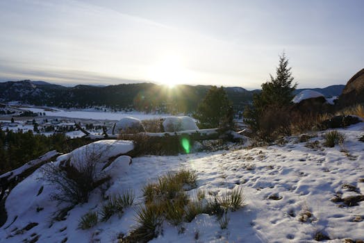冬日清晨，雪山风景中点缀着树木和霜草，日出格外美丽