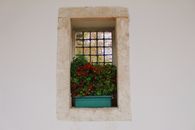 A scenic window with a flower box in Istanbul, showcasing a blend of vibrant plants against a rustic frame.