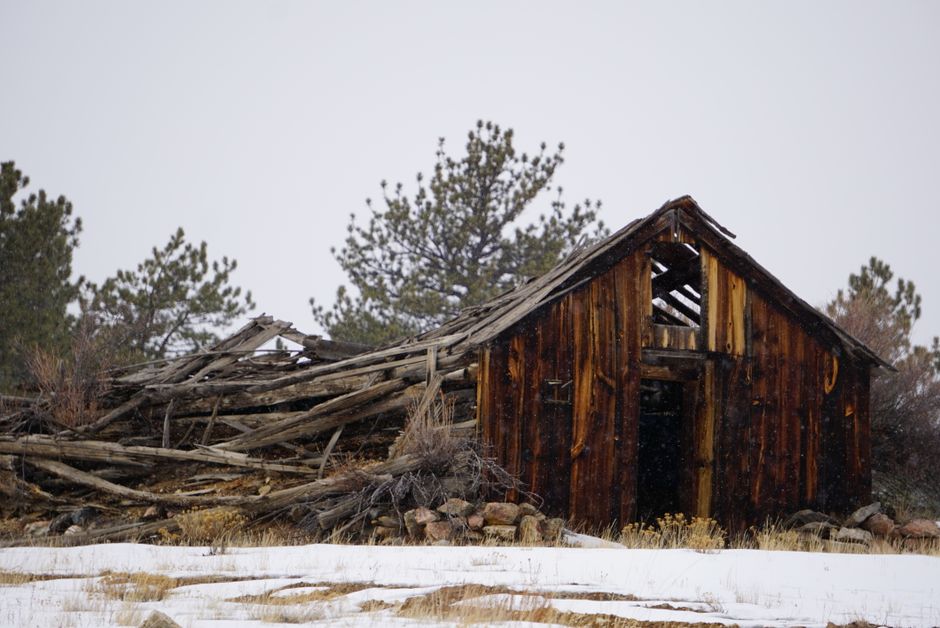A weathered wooden cabin stands alone in a snowy landscape, surrounded by trees.
