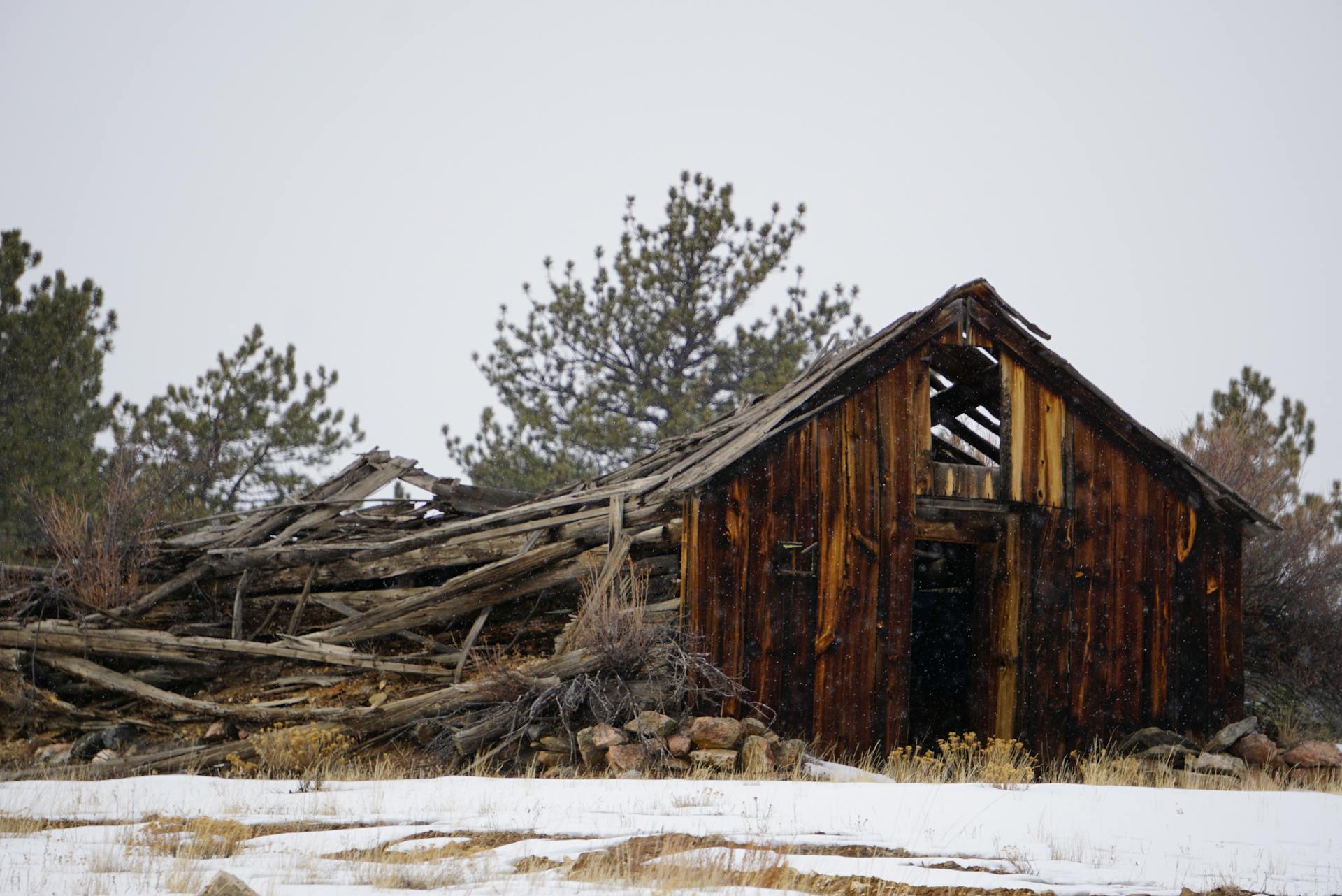 Wrecked House Near Trees