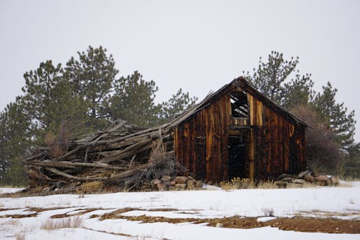 一座质朴的废弃木屋坐落在冬日的雪林之间，展现着腐朽的景象