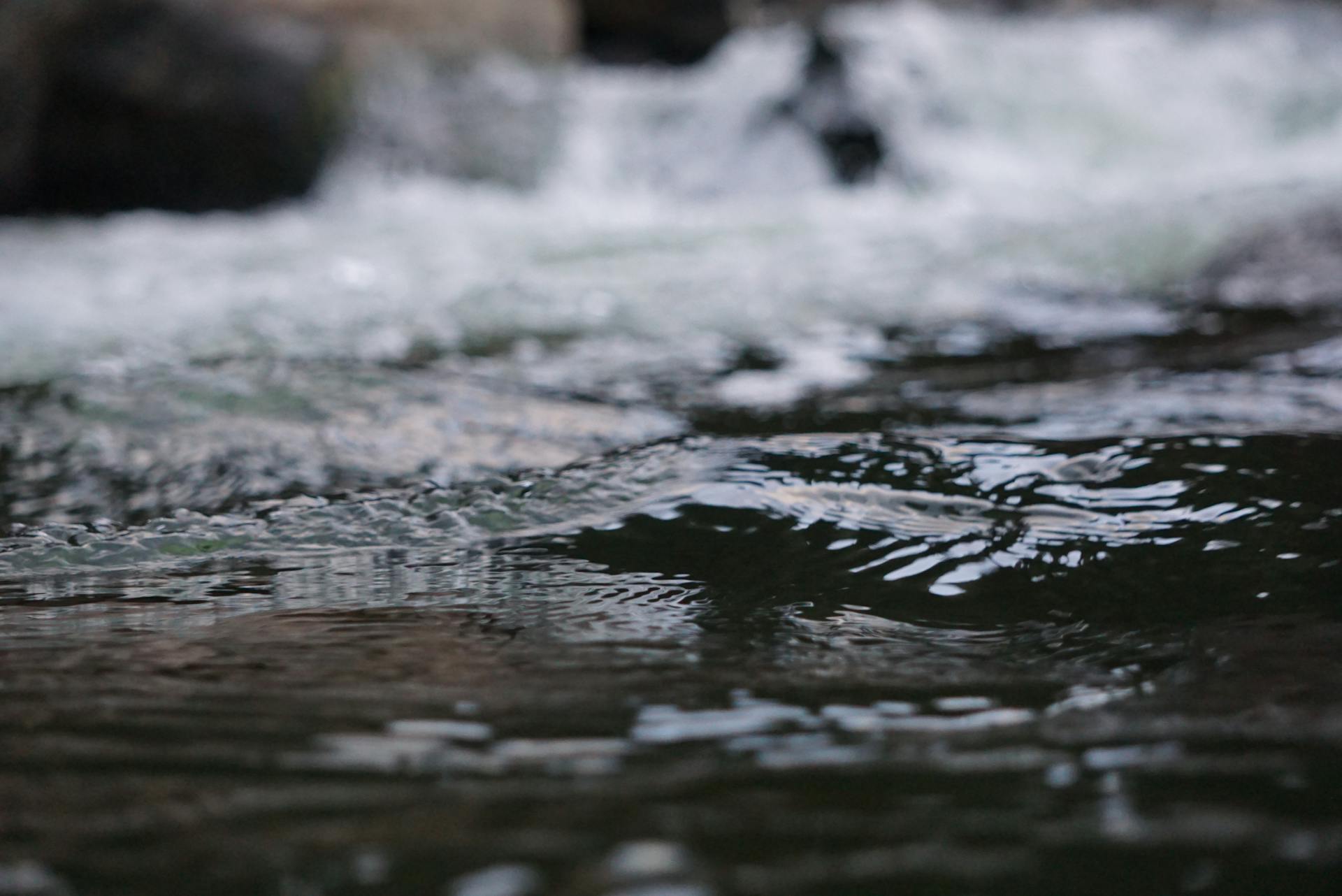 Macro Photo of Water Flow